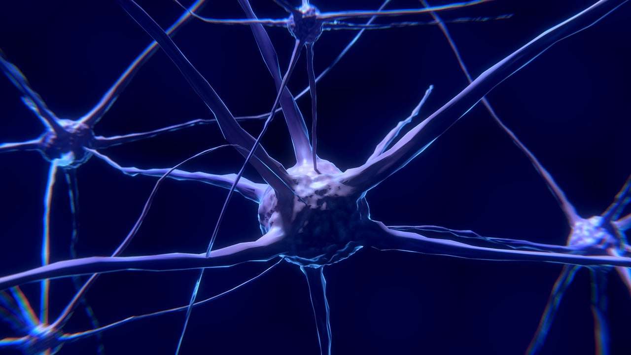 How to Enhance your Brain’s Neuroplasticity