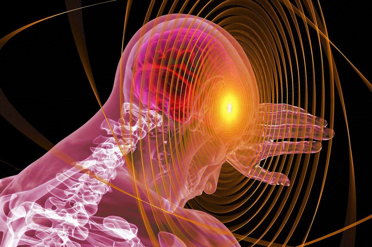 YOUR BRAIN AND IMMUNE FUNCTION